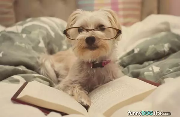 Just Reading This Book