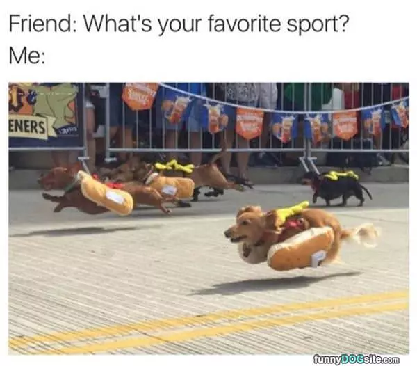 What Is Your Favorite Sport