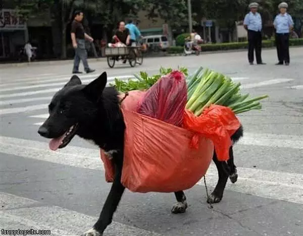 Groceries
