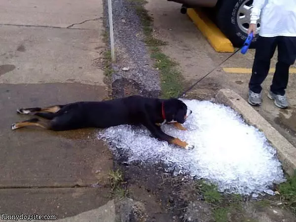 Soooo Hot Outside