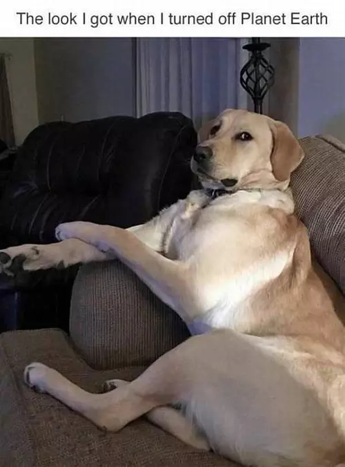 Do Not Turn That Off