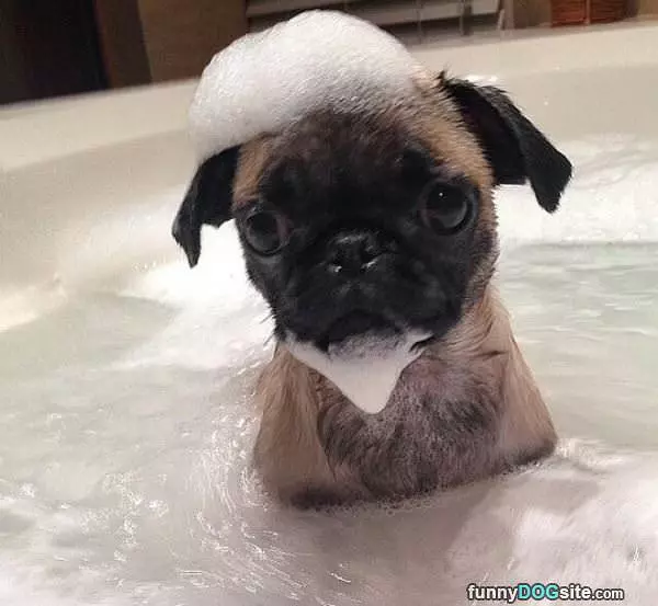 Hanging Out In The Tub