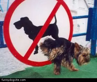 Dont Like That Sign