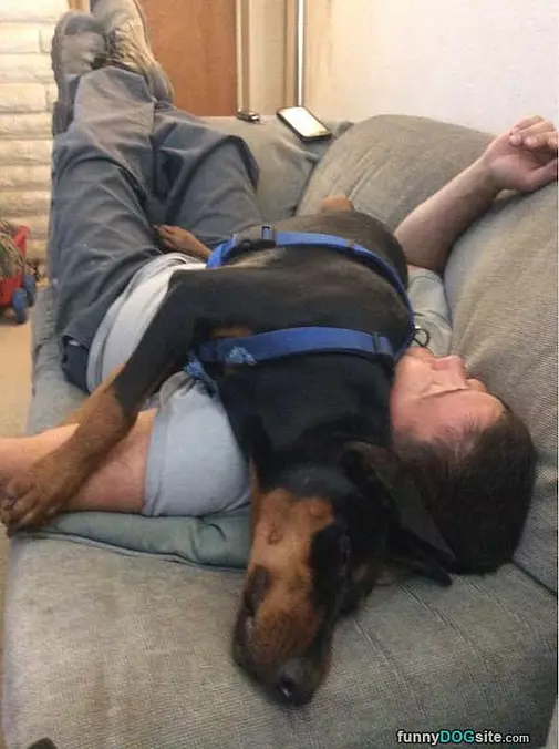 Sleeping Here