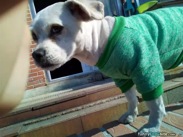 Nice Sweatshirt