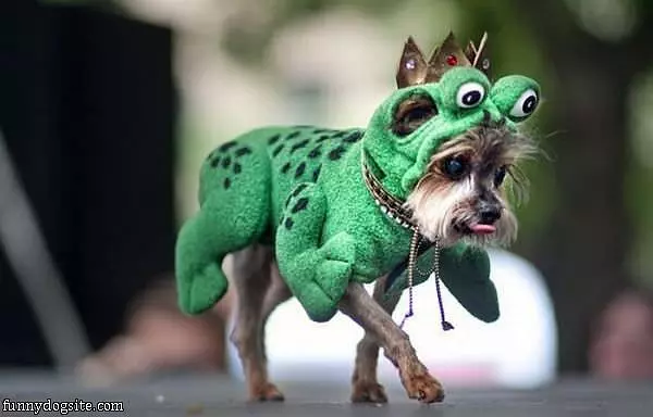 Halloween Ready