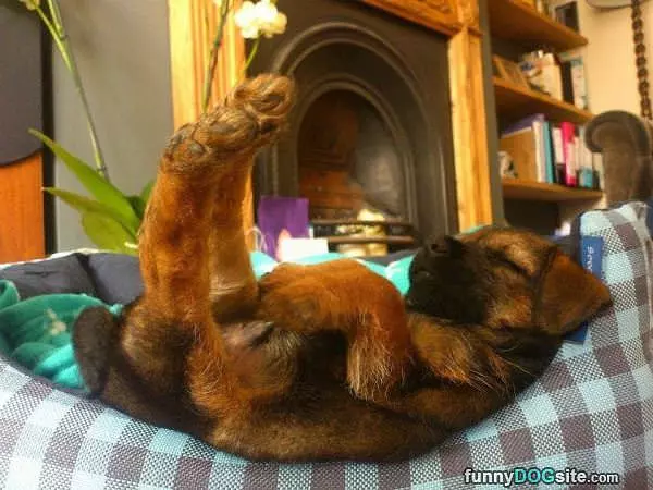 Resting Here