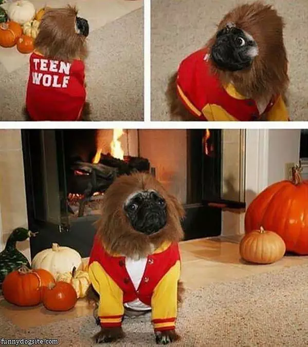 Teen Wolf