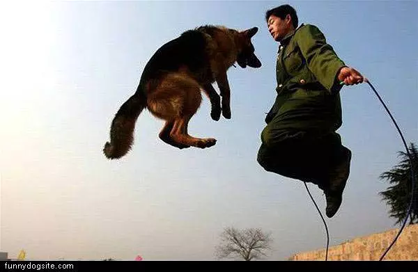 Jump Rope Dog