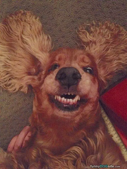 Big Smile Everyone