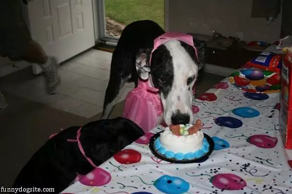Montanas Birthday