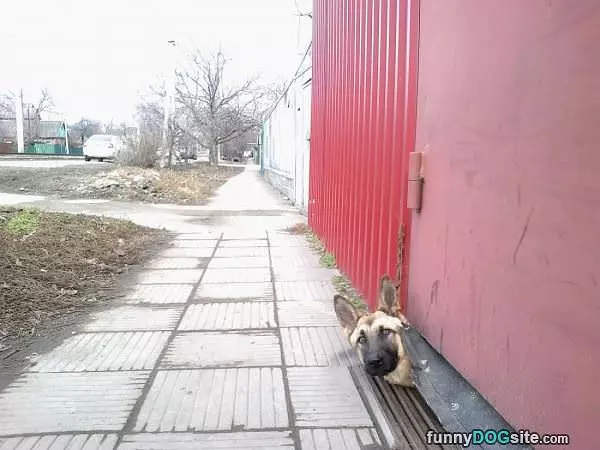 Hey Whats Up