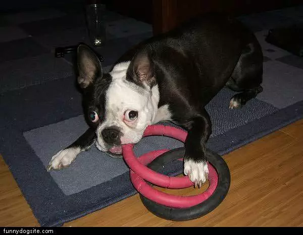 Playing Some Games