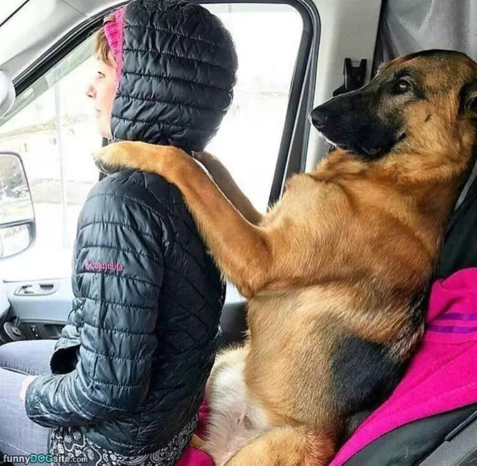 Ride On