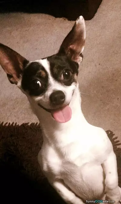 Big Smile For You
