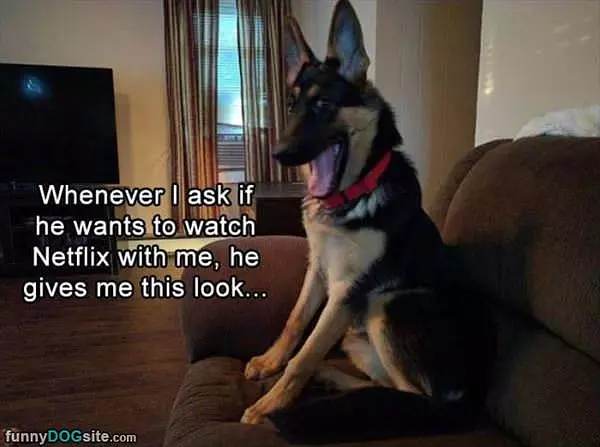 Want To Watch Netflix With Me