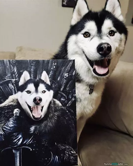 I Know That Dog