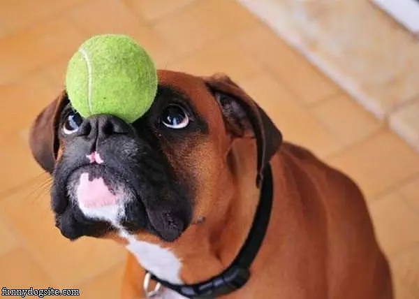 Ball Balancer