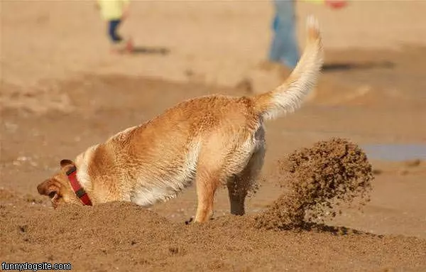 Doing Some Digging