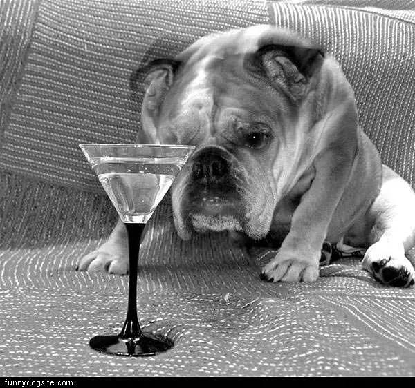 Another Drink Please