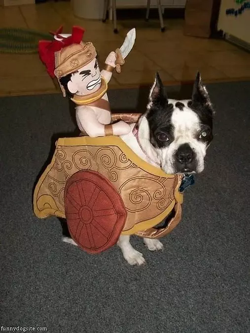 Great Costume