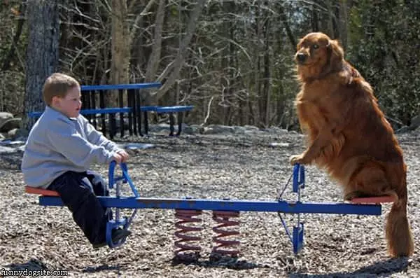 Ziva At The Playground