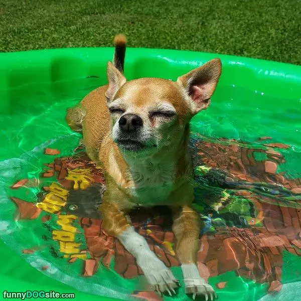 Chillin