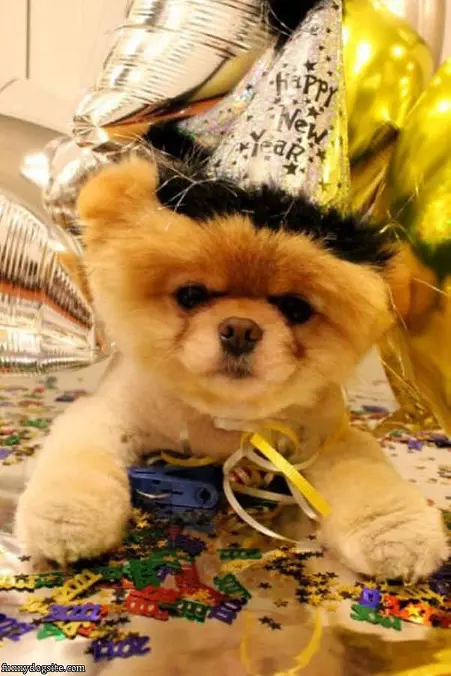 Happy New Year