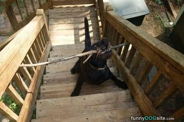 Now I Got Stuck