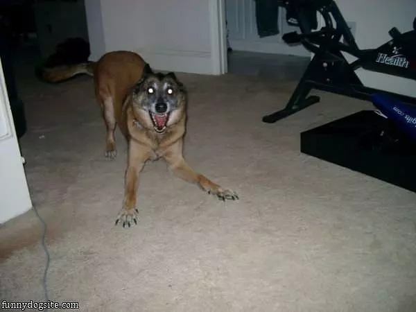 Ready To Play