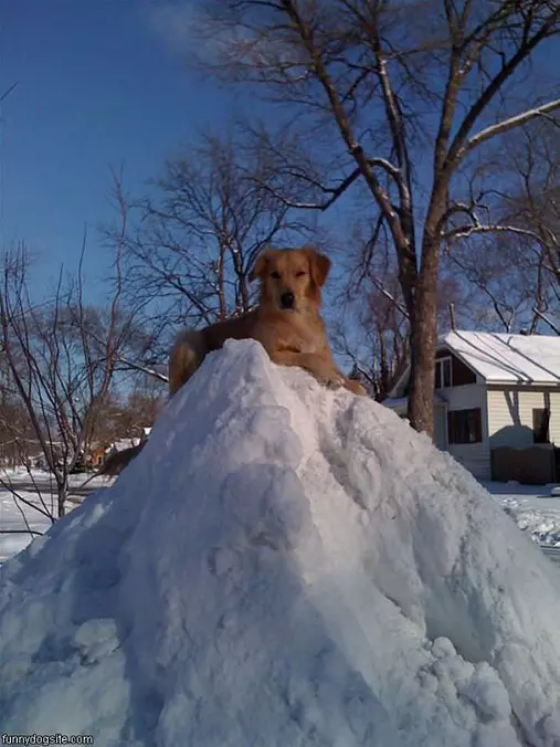 Climber