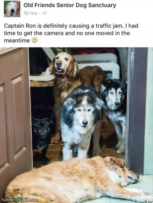 Causing A Traffic Jam