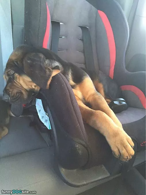 This Seat Is Fine
