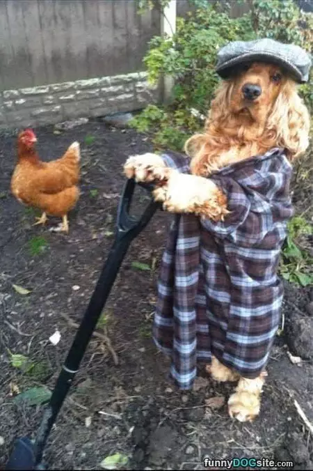 Doing Some Gardening
