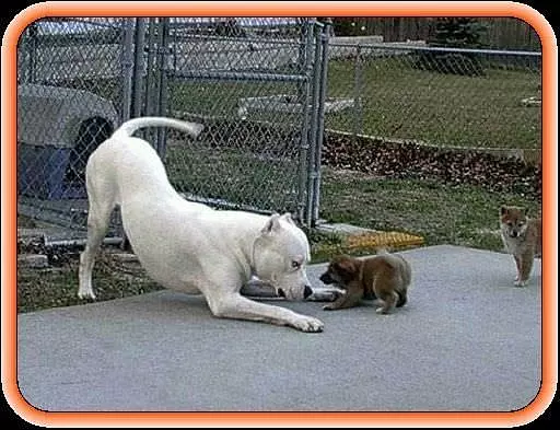 Big And Little