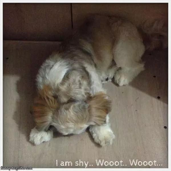I Am So Shy
