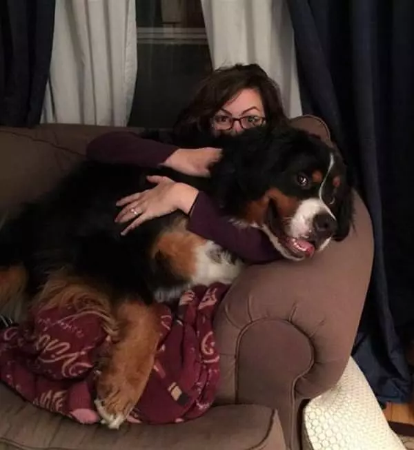Always A Lap Dog