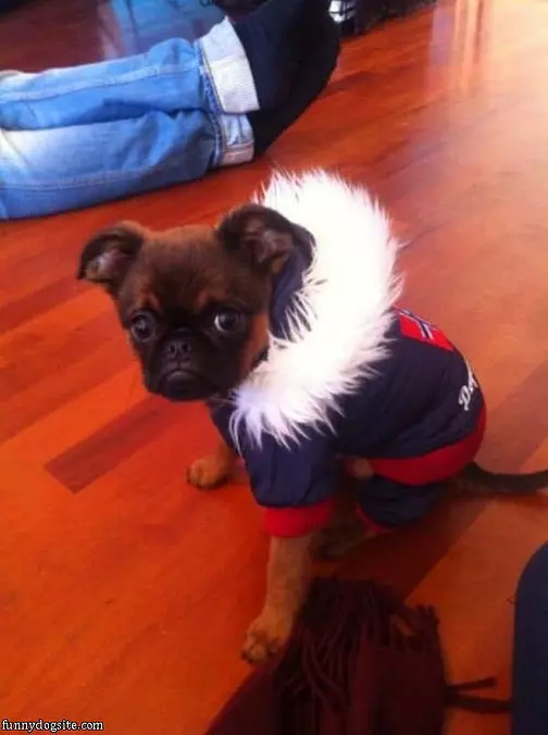 My Fuzzy Coat