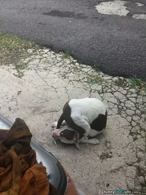 I Caught It
