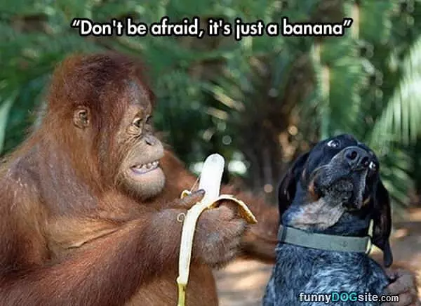 Dont Be Afraid