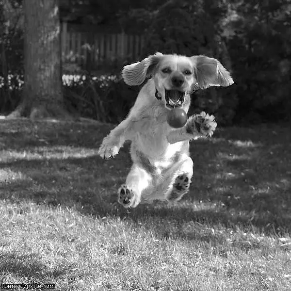 Jump Fetch