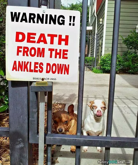 Death From Ankles Down