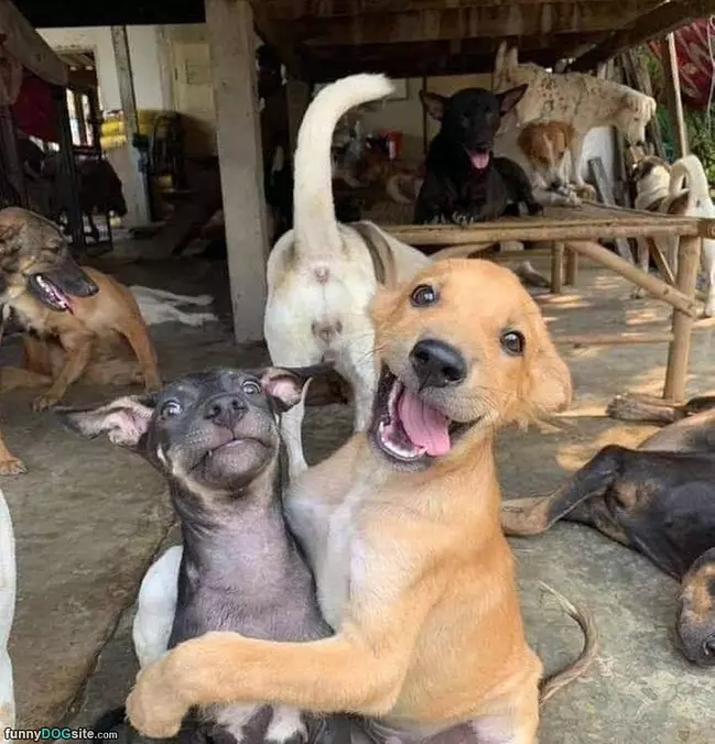 Heyyyoi