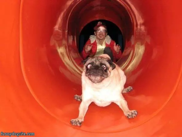 Do Not Like Slides