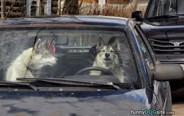 Stuck In Traffic