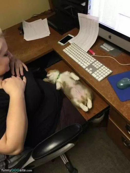 This Spot Works