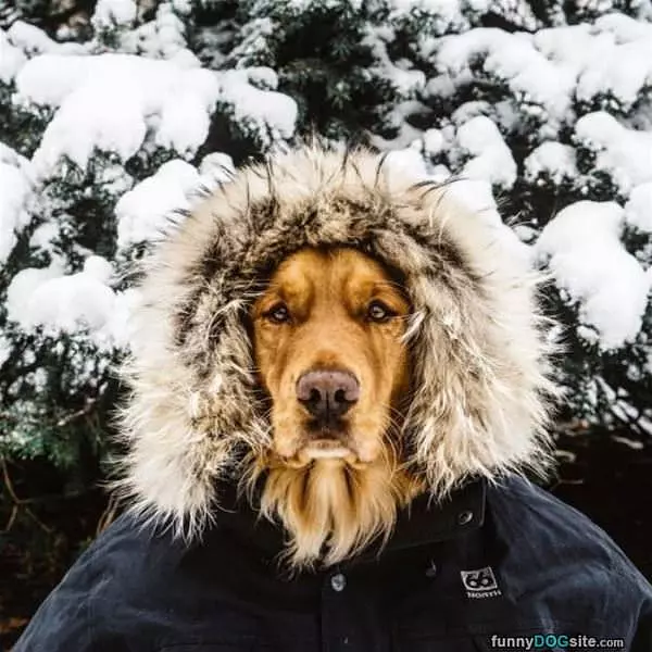 Got My Coat On