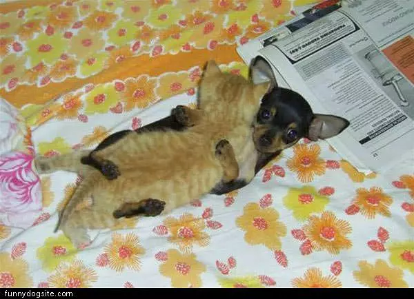 Forbidden Love