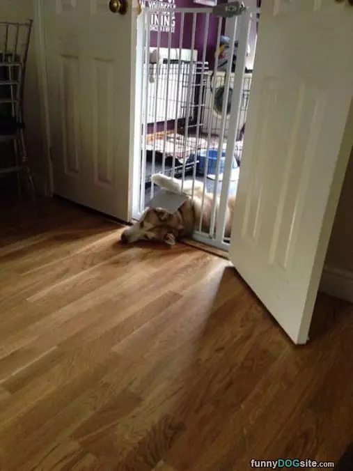 I Can Fit