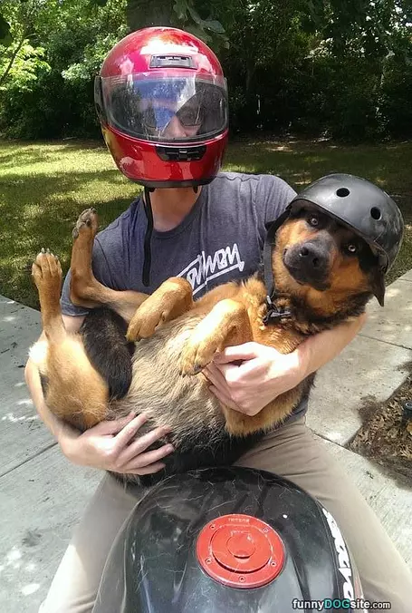 Hugging It Out